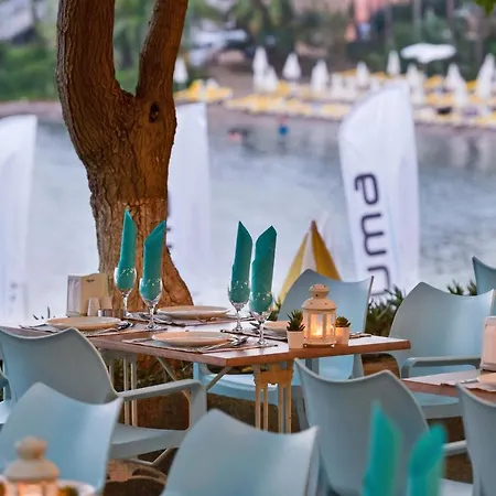 Numa Bay Exclusive Avsallar